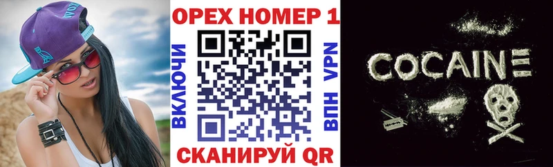 закладки  mega ТОР  Cocaine 99%  Камышлов 