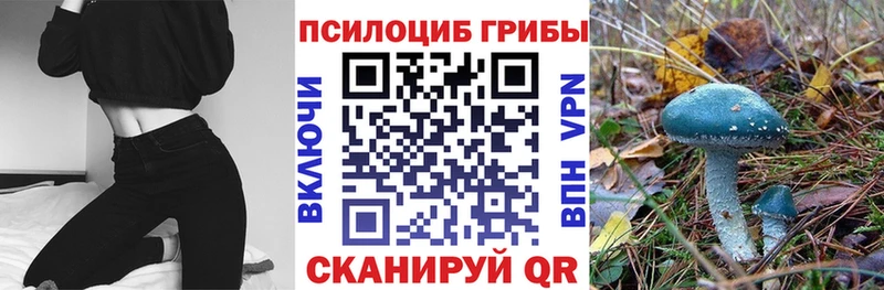 Галлюциногенные грибы ЛСД  Камышлов 
